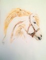 /album/aquarelles/cheval-bans-jpg/